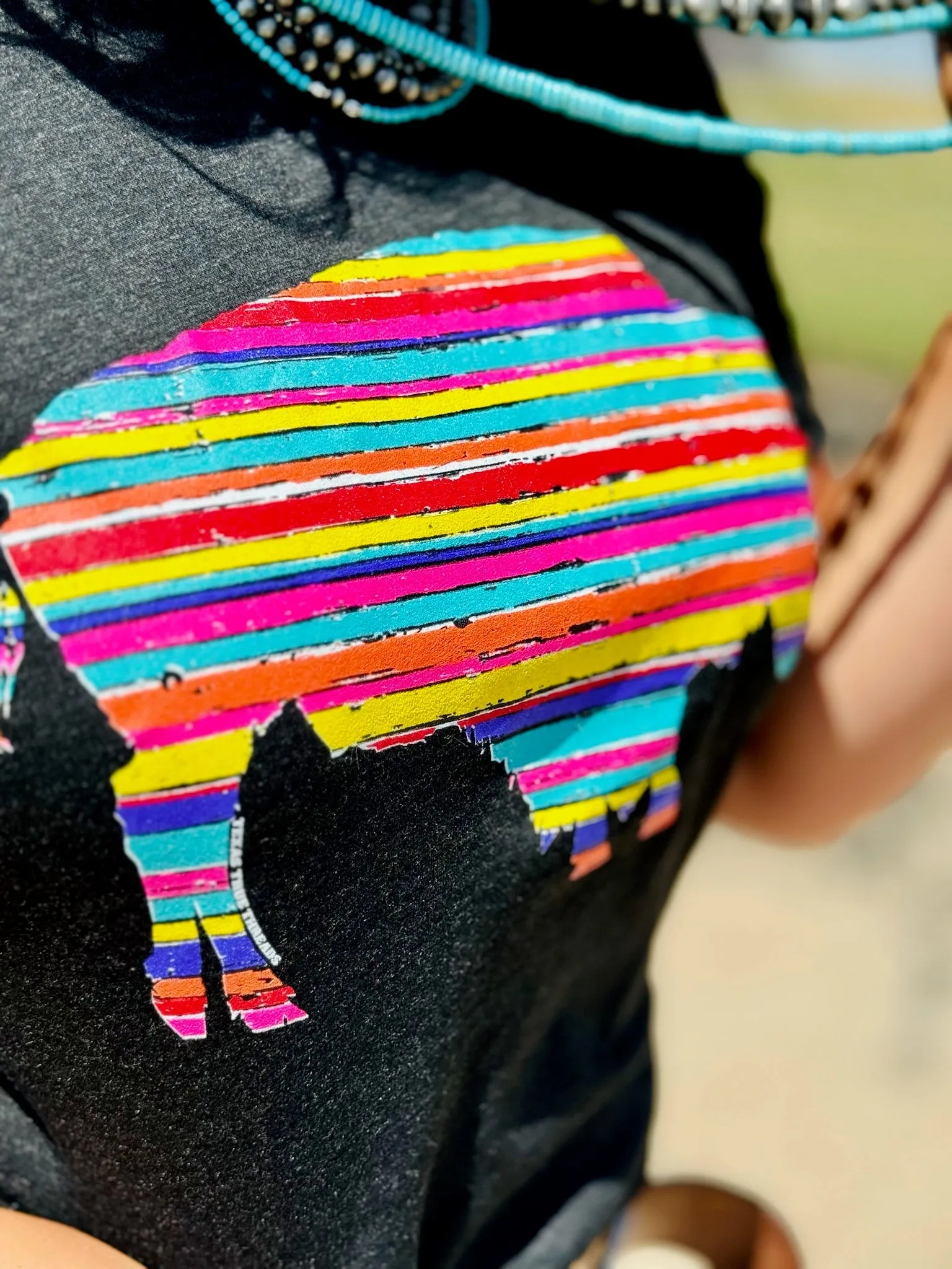 Serape Buffalo Tee